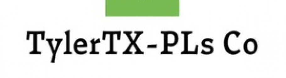 paydayloanstylertx