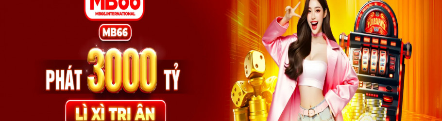 mb66international