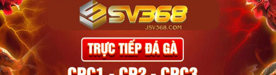 jsv368com