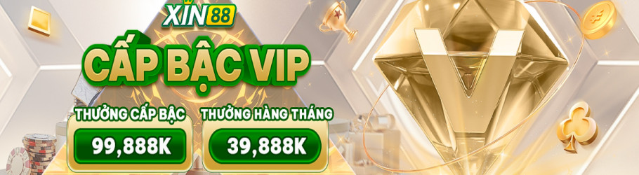 Xin88vncx