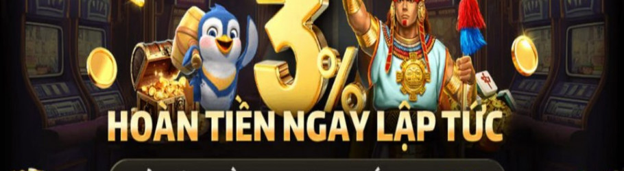 Nn88cdev