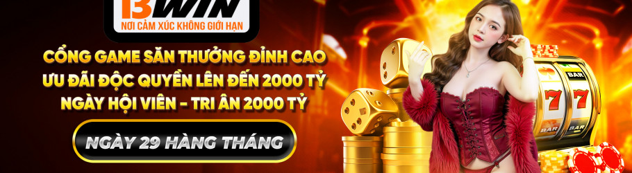 13Winjpnet