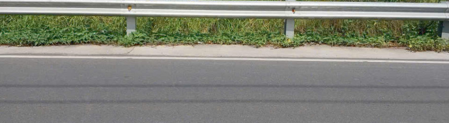 datnennhabevn