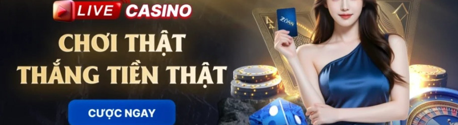 zo88loan