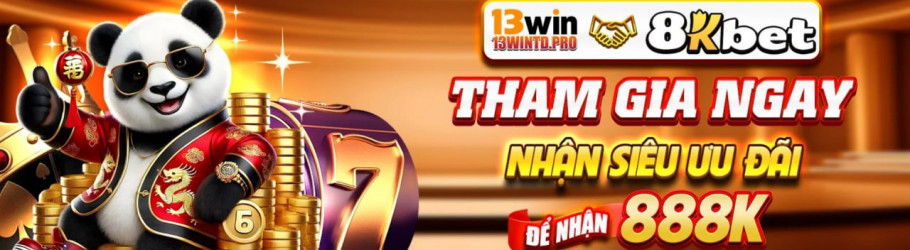 13wintdpro