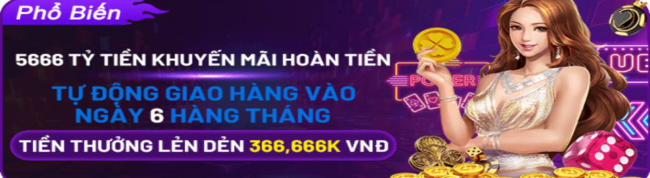 566homes