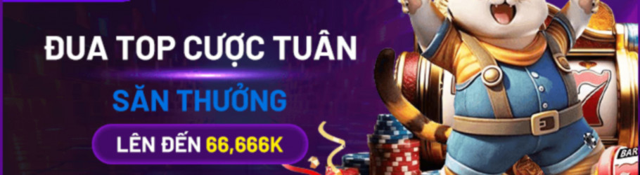 566ukcom
