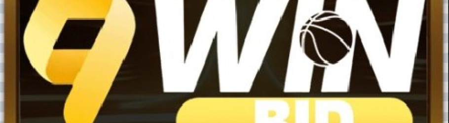 9winbid