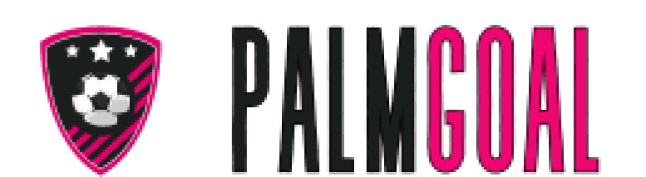 palmbaytowing2fo