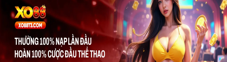 xo88t3com