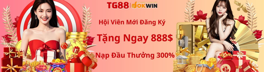 tg888innet