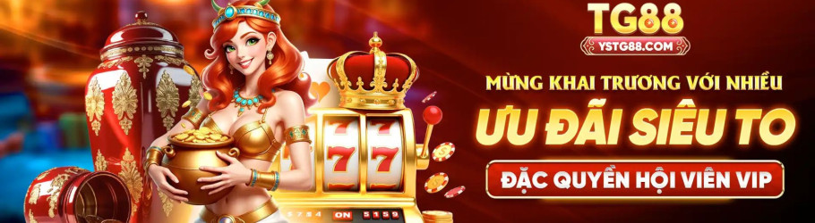 ystg88com