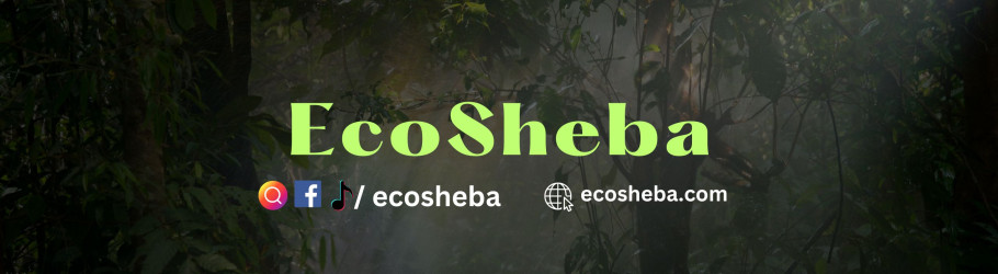 ecosheba2308