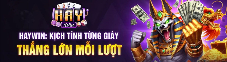 haywin2pro