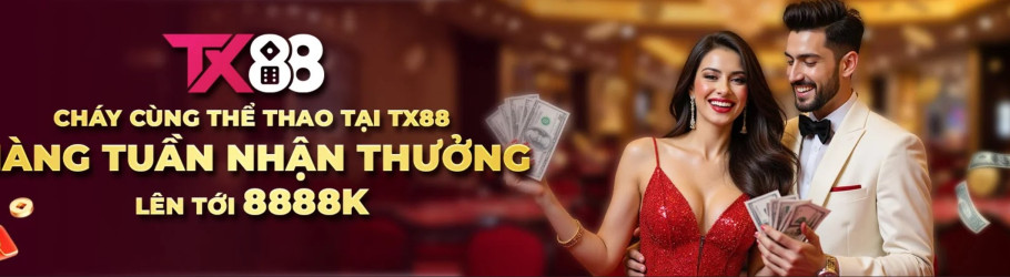 tx88limited1