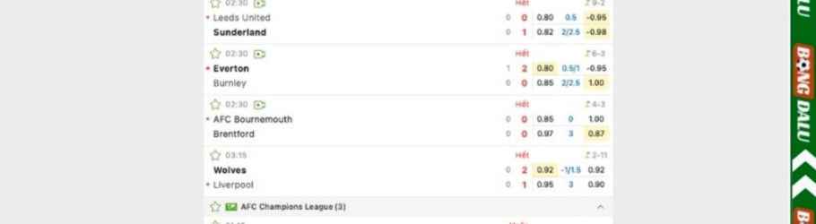 Bongdaluspacelichthidau