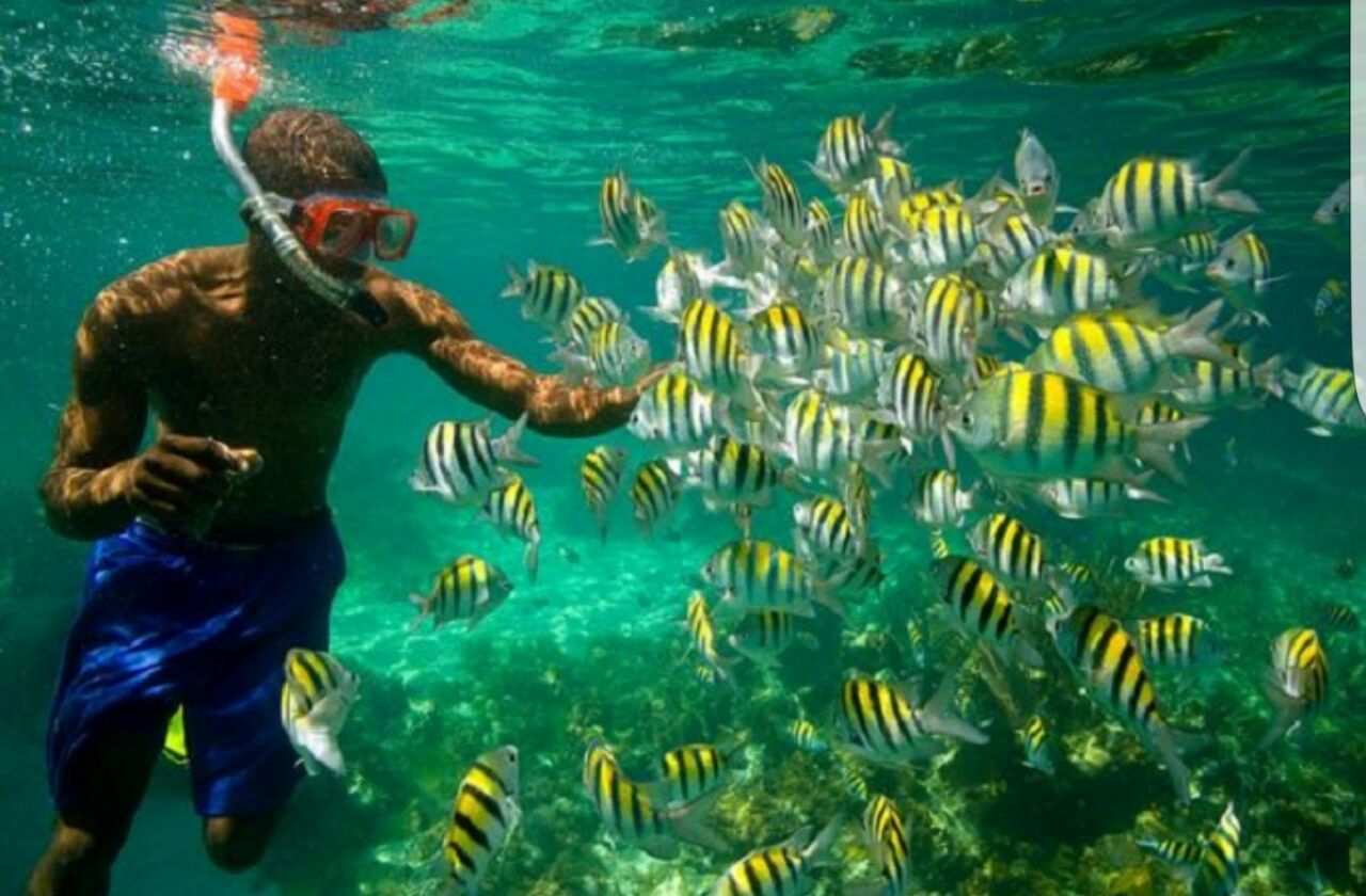 Musandam Tours by Khasab Sea Tours, Leading tour agency