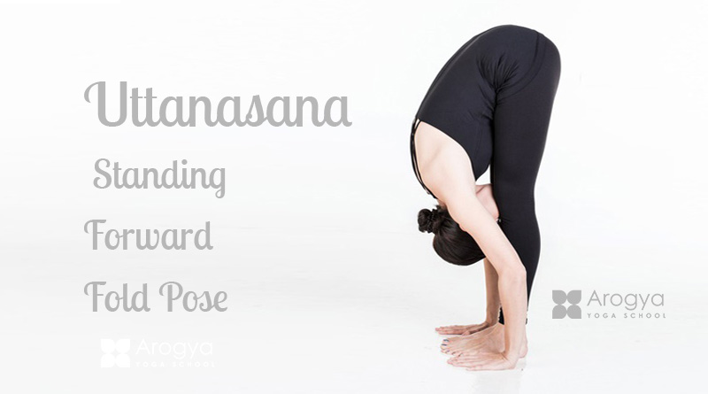 Uttanasana (Standing Forward Fold Pose) - Arogya Yoga School