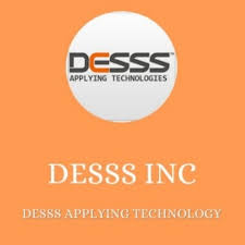 Web Development Services Company Houston | DESSS Inc
