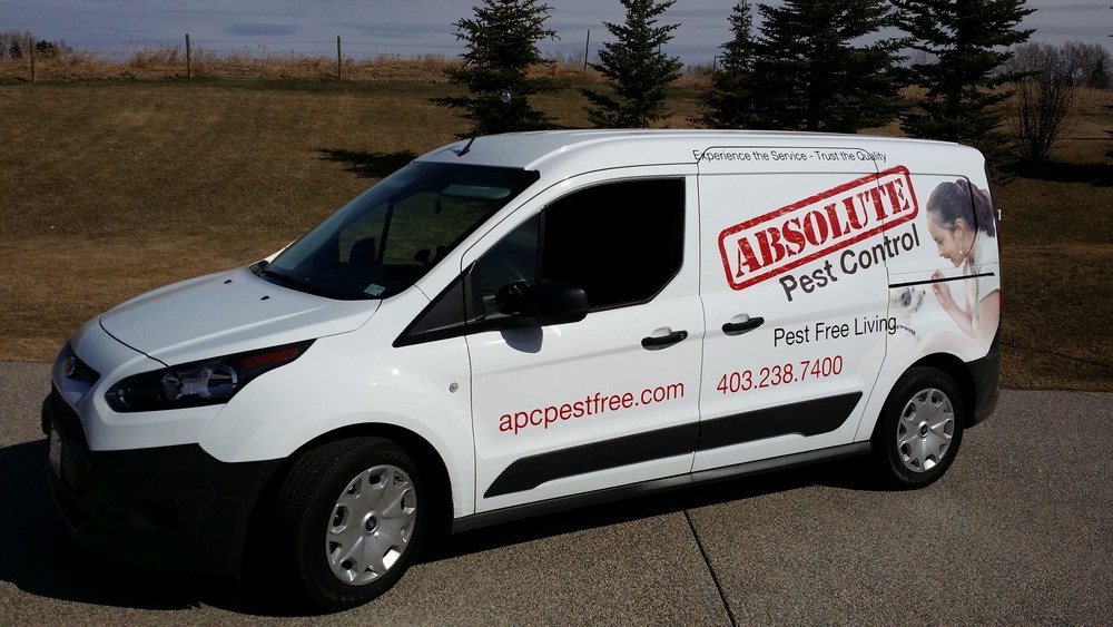 Pest control products calgary | Grass damage | Lawn damage calgary