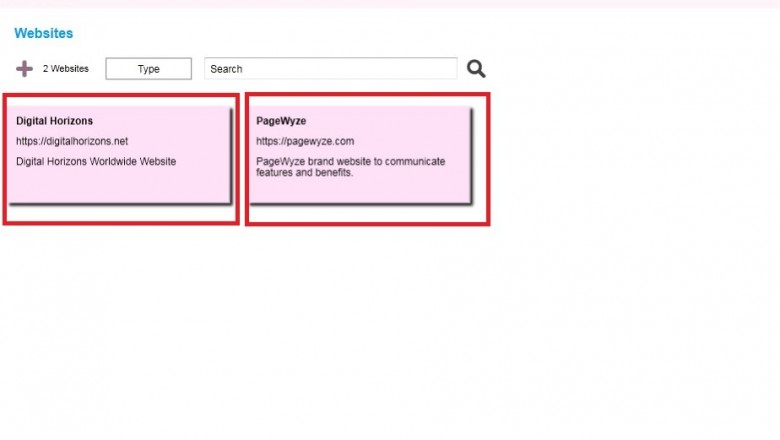 PageWyze: Multiple Website Management System