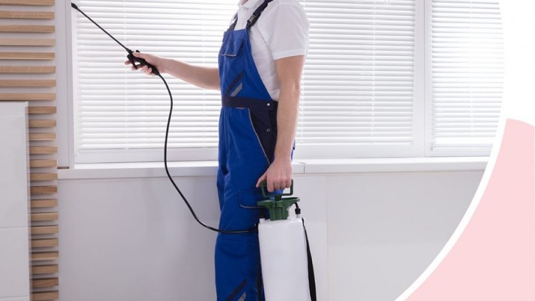 Pest Control Services In Delhi, Pest Control In Gurgaon, Noida, Ghaziabad, Faridabad