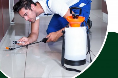 Pest control services In India ,Pest  Control Services In Delhi, Pest control Services in Noida