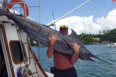 Game Fishing in Andaman