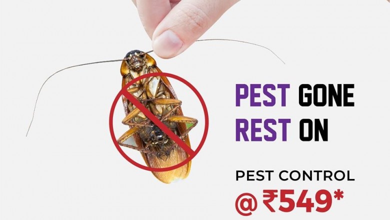 Pest Control , Pest Control Services, Pest Control In Delhi,Termite Treatment , Bed Bug Control