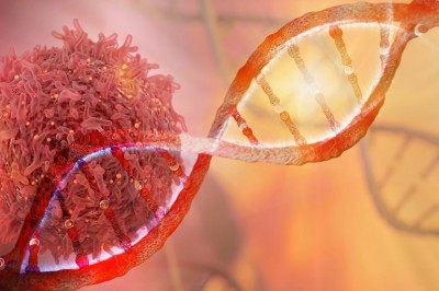 How Molecular Medicine Bachelors Explored?