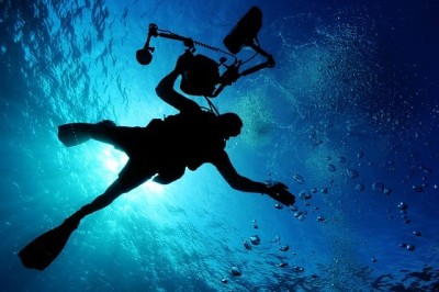 Find The Best Course For Scuba Diving Certification