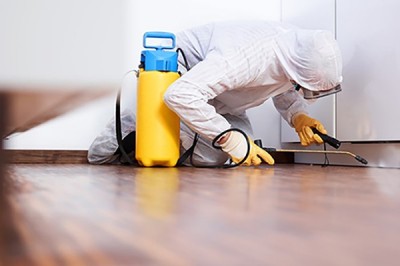 Pest Control Delhi,Bed Bug Control, Termite Treatment|Klikly.com