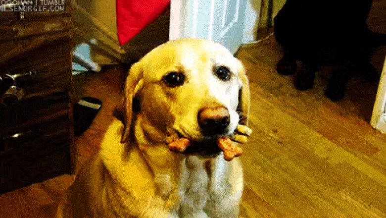 Everyday Funny Workplace Scenarios Told Through GIFs