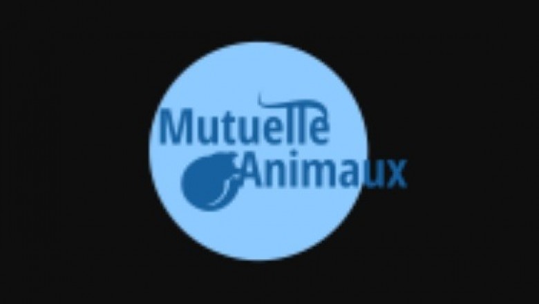 Acquiring Pet Insurance for your Puppy