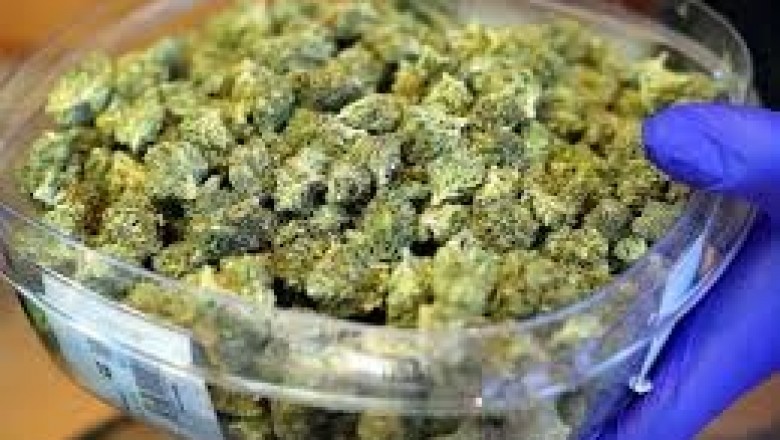 Buy buds online in Australia