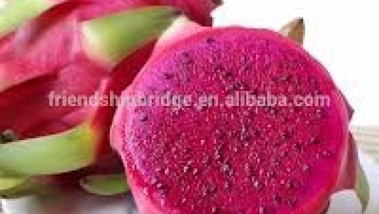 Vape Juice, the Best Vape Kits and Buy CBD Online.