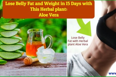 How to Lose Belly Fat and Weight in 15 Days with This Herbal plant: Aloe Vera