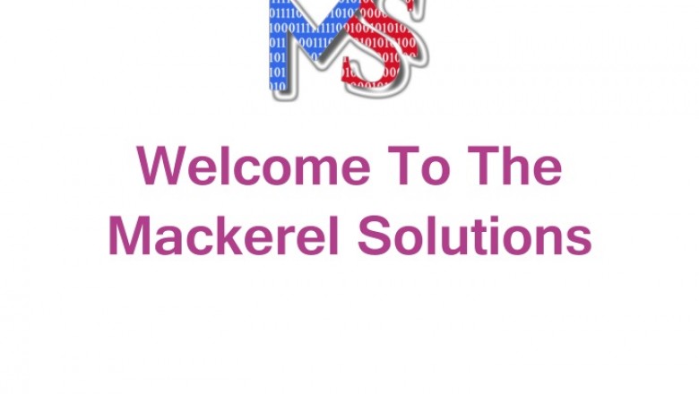 Web Development Services | Digital Marketing Company | Mackerel Solutions