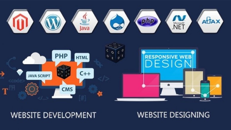Web Design and Development Services