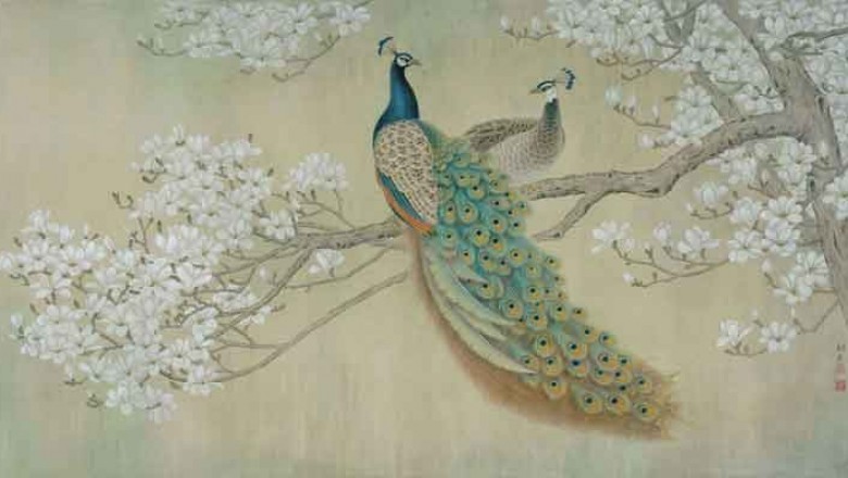 Peacock Wallpaper for Walls