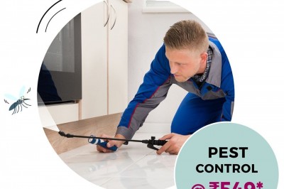 Pest control Services in delhi, Termite Control Services Noida, Bed Bug Control Services Gurgaon