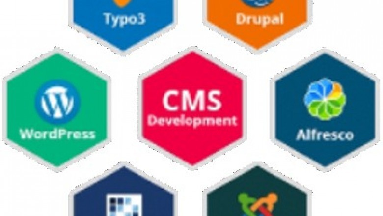 web development in kolhapur | SEO Agency in Kolhapur