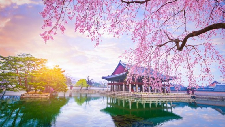 Best Nature Wallpaper