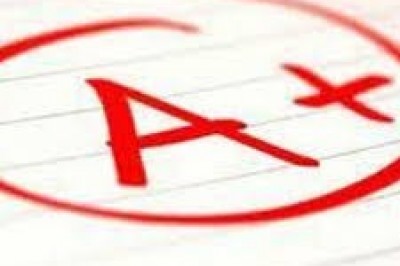 Essay Topic: The Wal-Mart Effect | Acemyhomework Writers