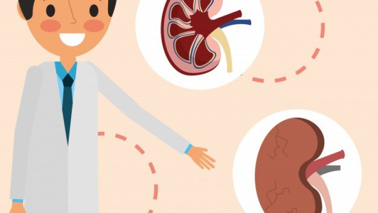 Nephrologist Email List | Nephrologist Mailing Address Database