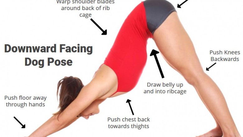 Adho Mukha Svanasana | Downward Facing Dog Pose