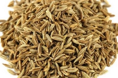 fournisseurs de graines de cumin