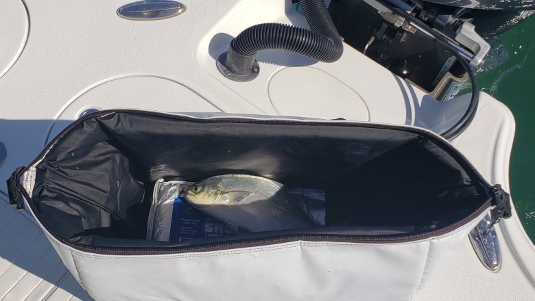 Fish Bag - Fish Kill Cooler Bag