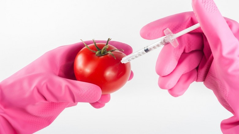 What Are Genetically Modified Foods?