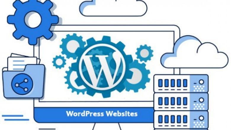 Wordpress Website Development Company in Delhi NCR, India